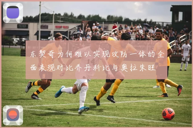 东契奇为何难以实现攻防一体的全面表现对比乔丹科比与奥拉朱旺